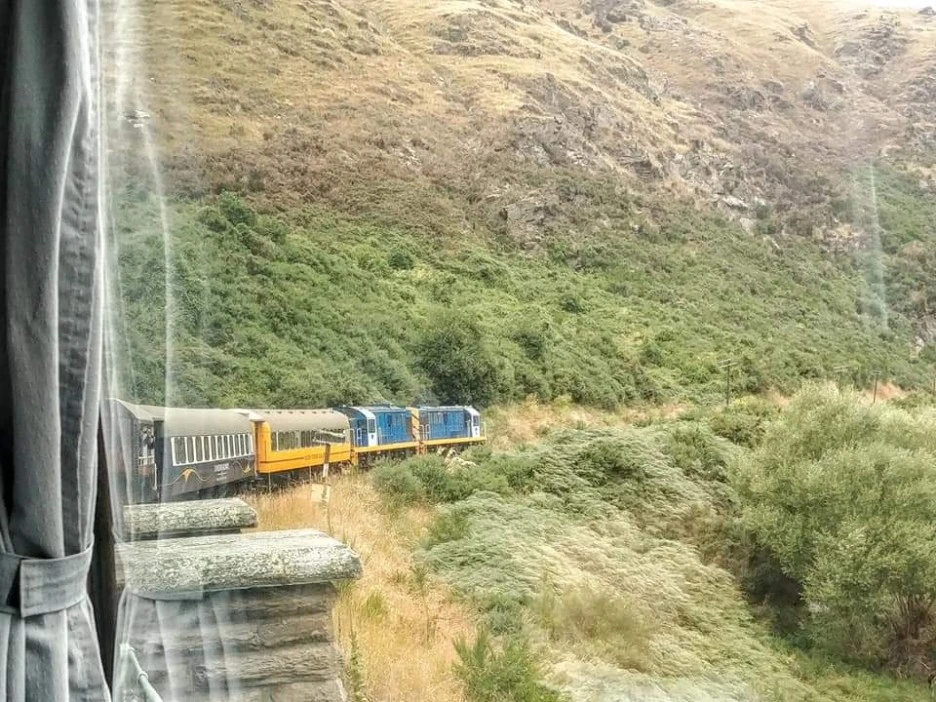 FB_IMG_1573222631651.jpg?type=w1