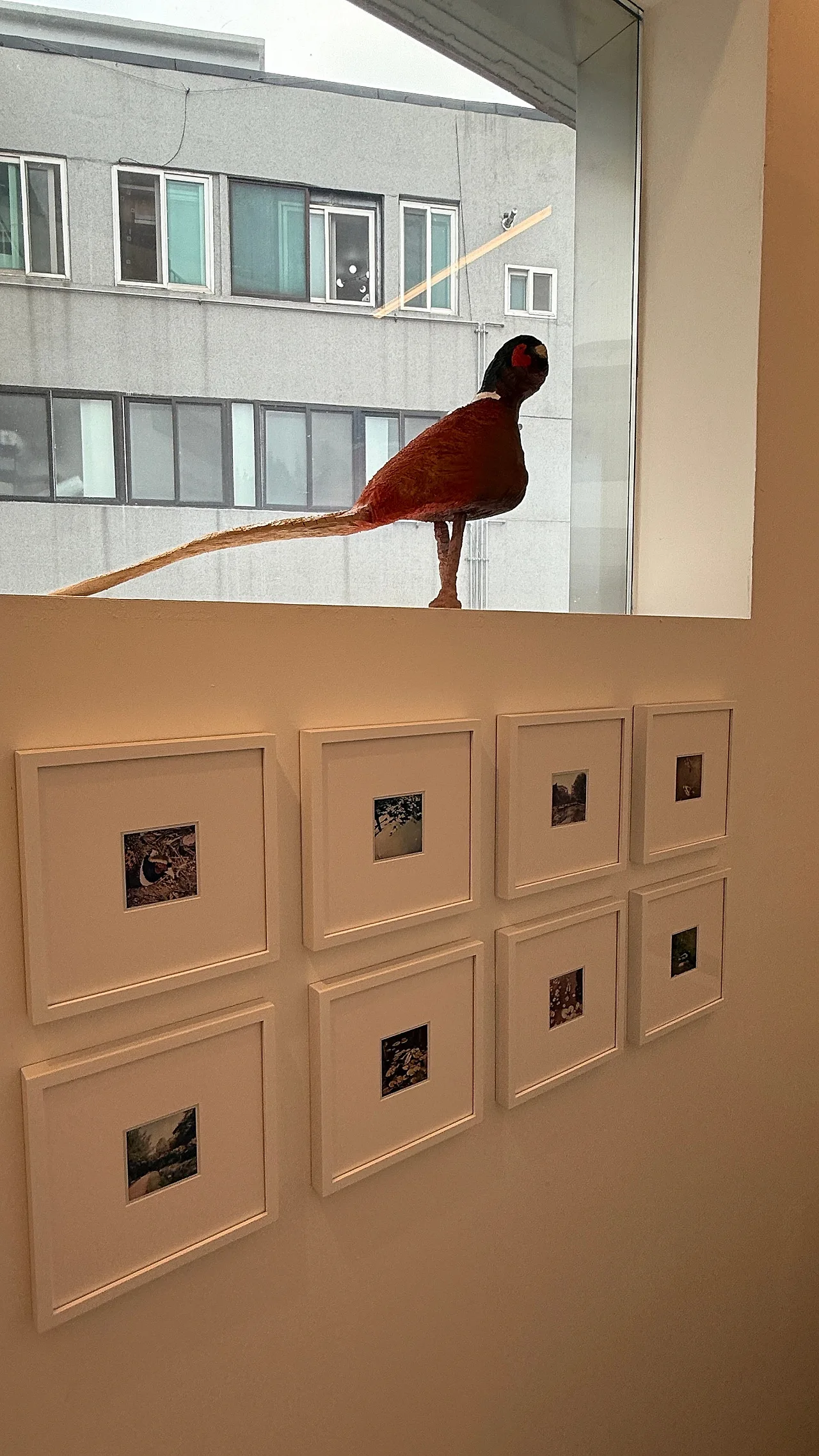 IMG%EF%BC%BF3972.JPG?type=w1600