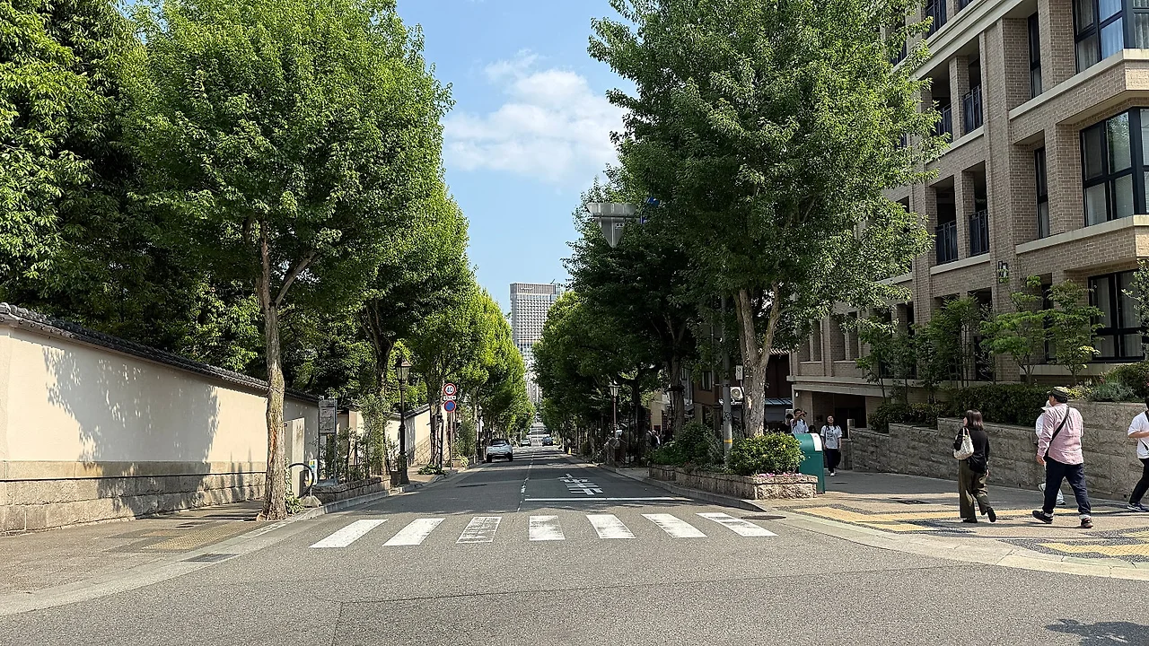 IMG%EF%BC%BF3146.JPG?type=w1600