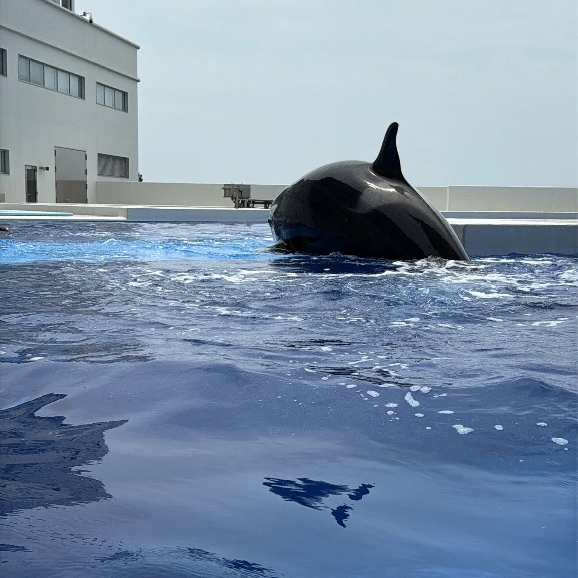 output%EF%BC%BF2596923310.jpg?type=w1600