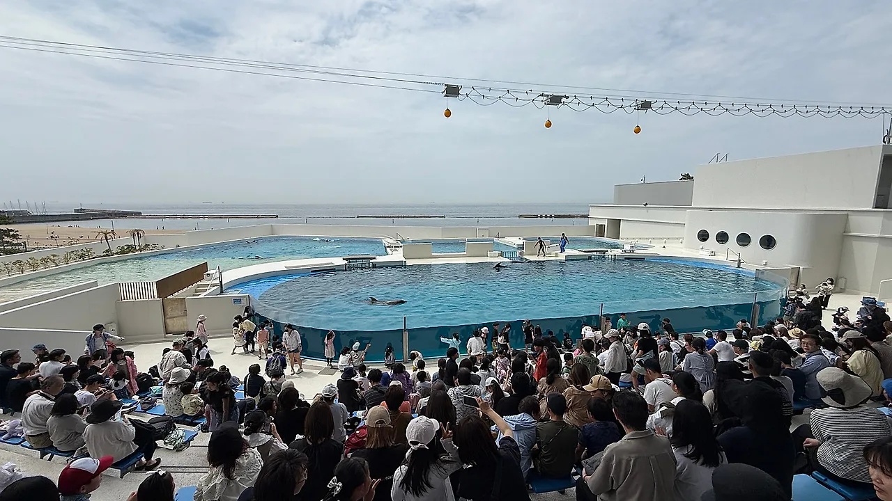 IMG%EF%BC%BF3332.JPG?type=w1600