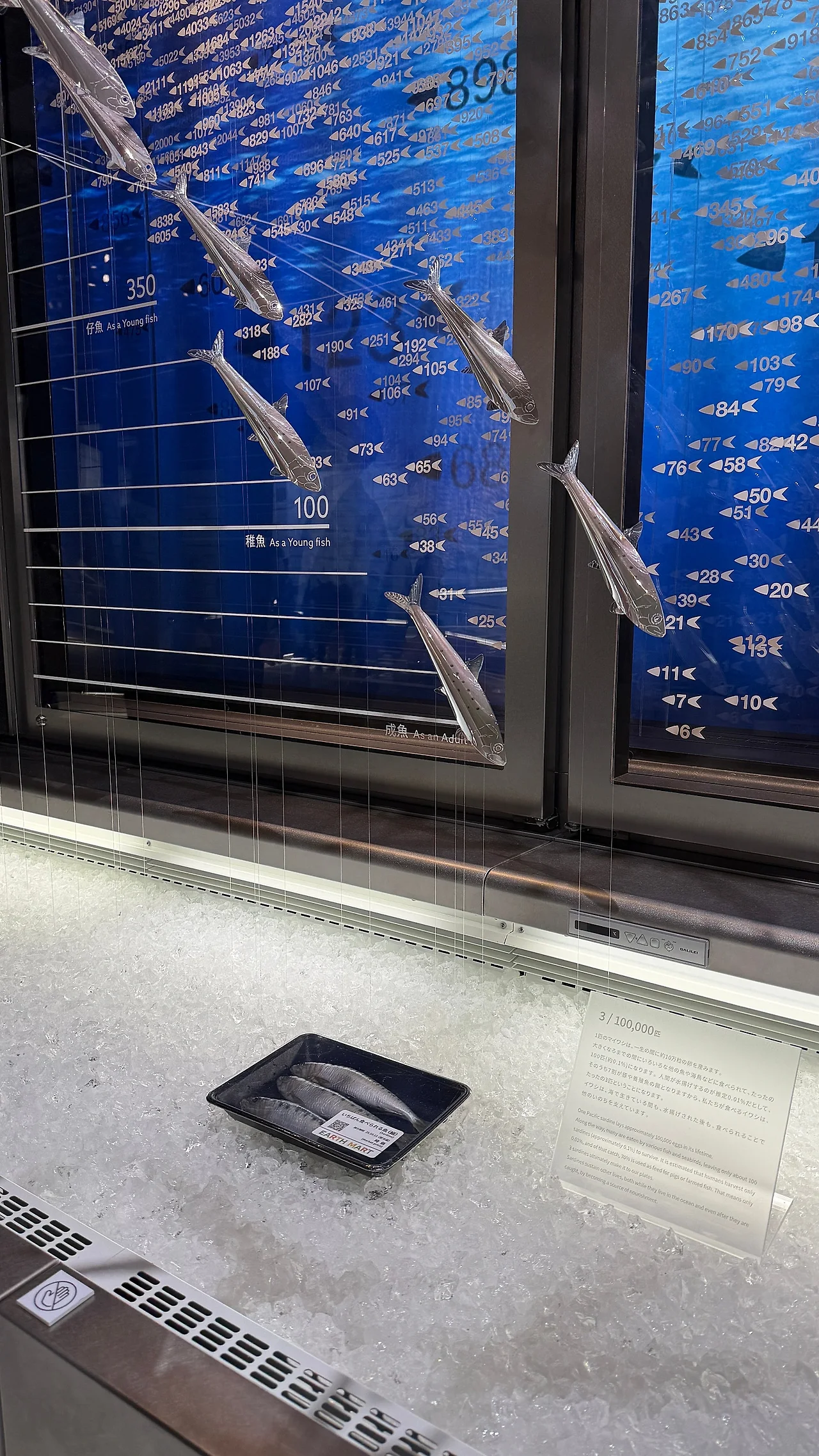 IMG_1336.JPG?type=w1600