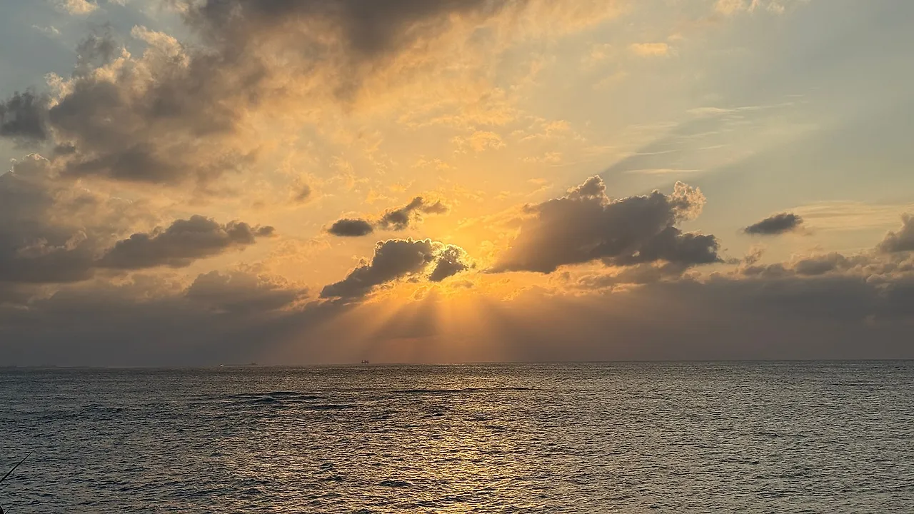 IMG_0928.JPG?type=w1600