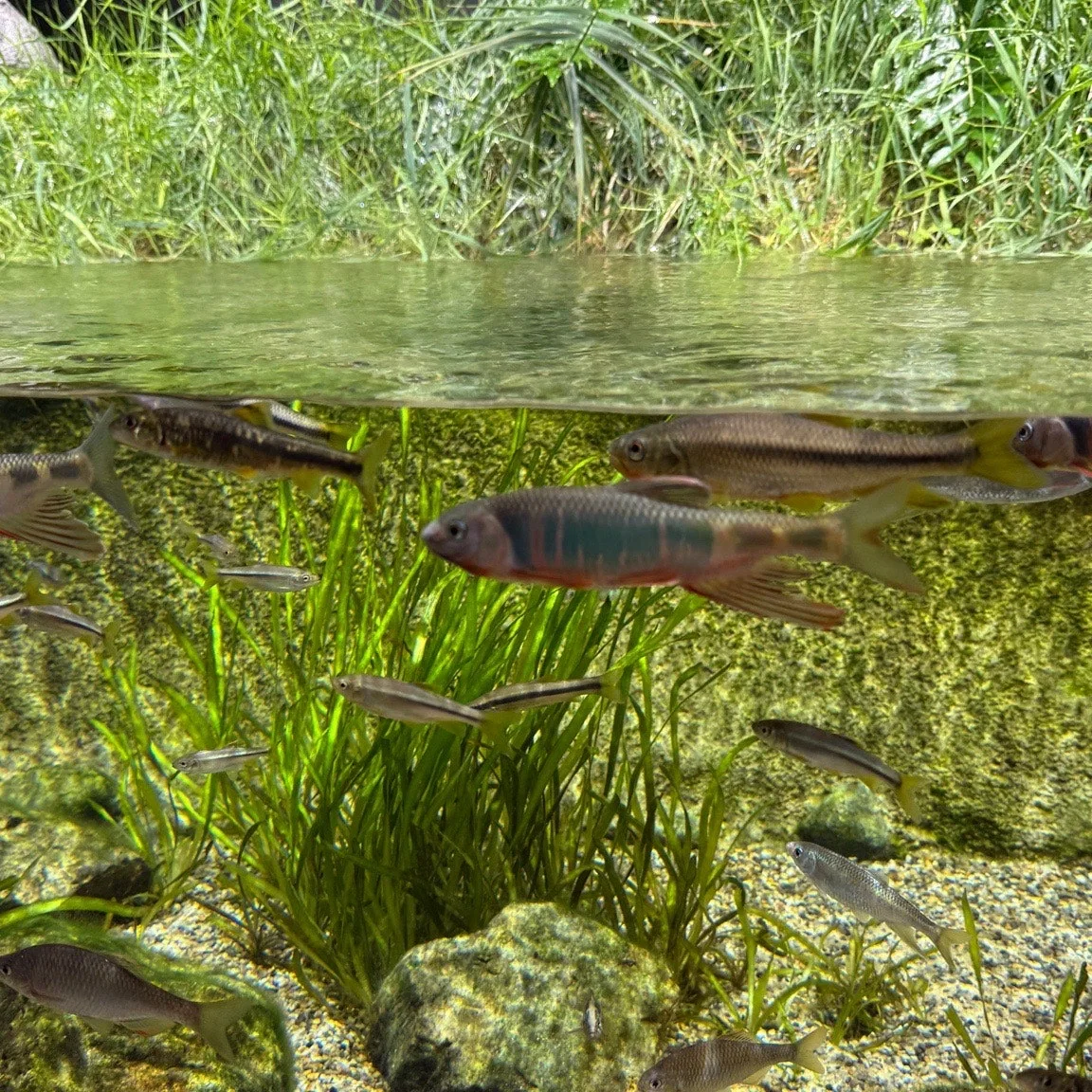 output%EF%BC%BF3624279971.jpg?type=w1600