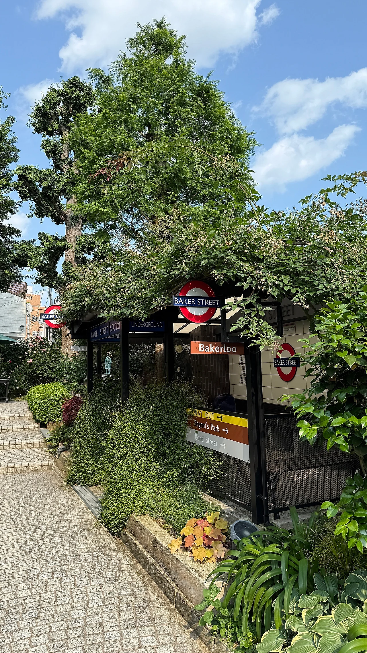 IMG%EF%BC%BF3212.JPG?type=w1600