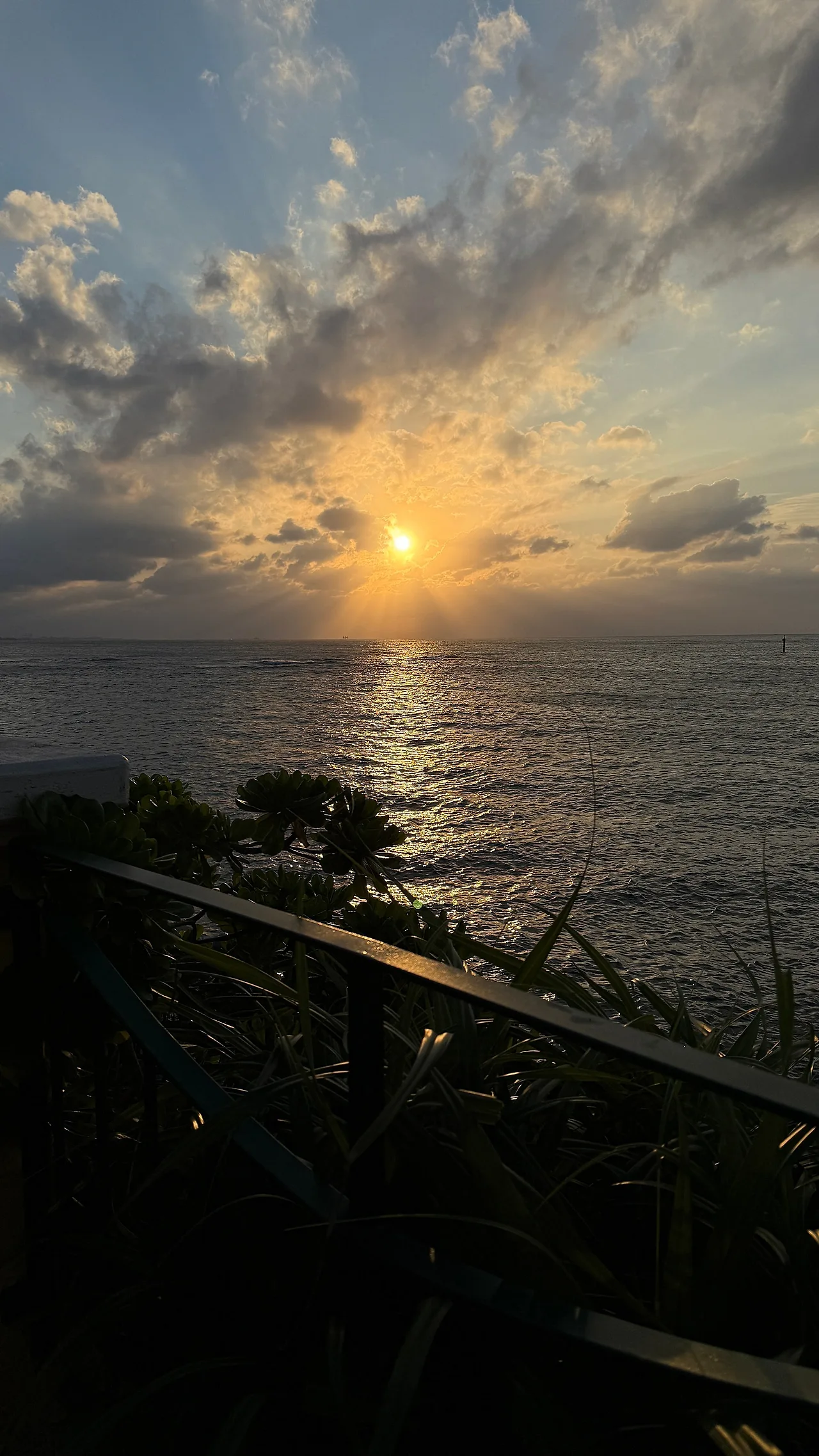 IMG_0915.JPG?type=w1600