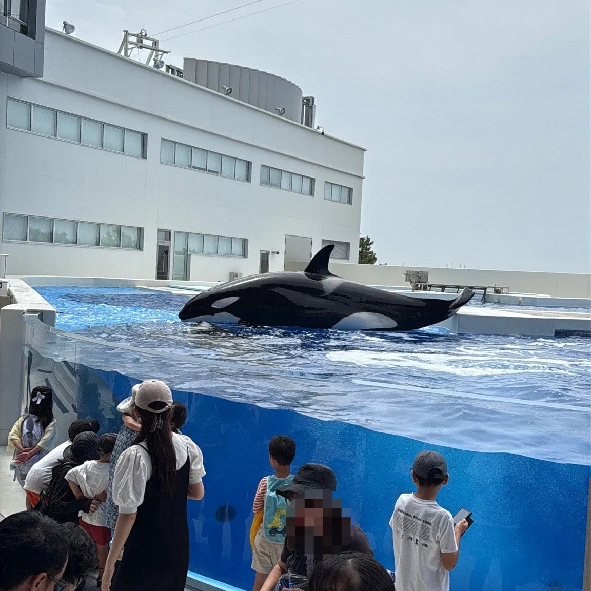 output%EF%BC%BF322226523.jpg?type=w1600