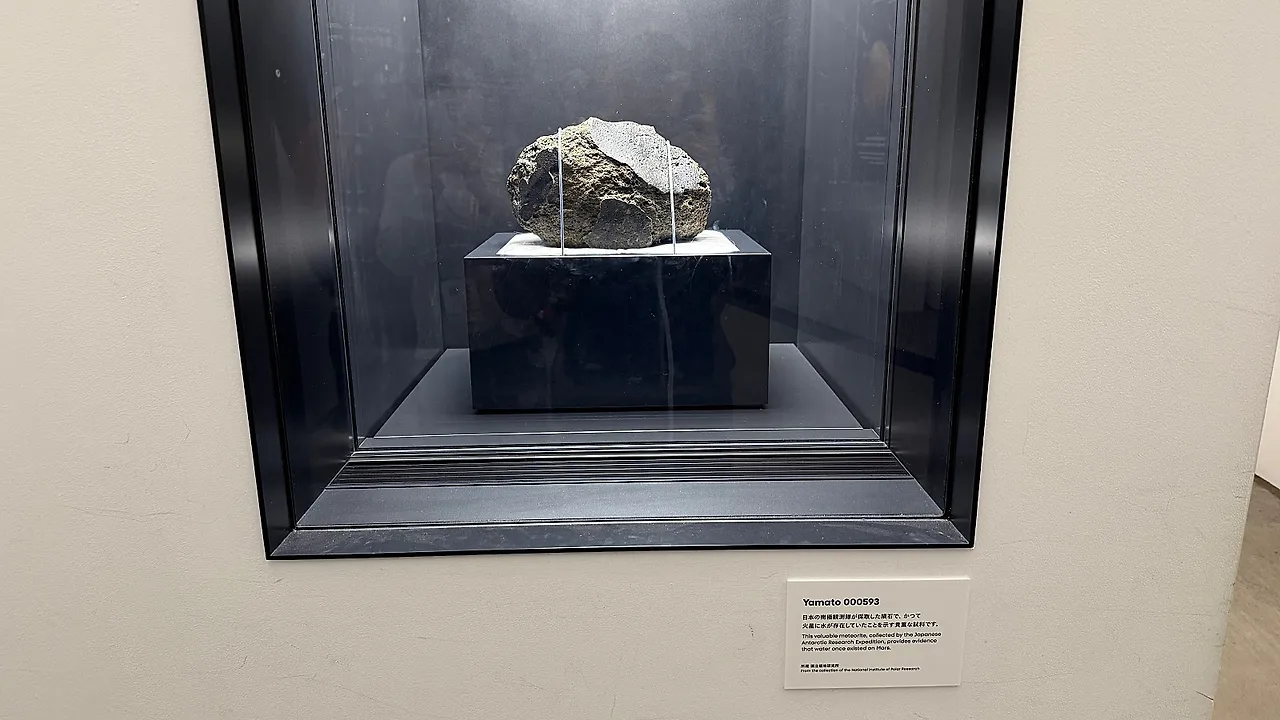 IMG_1310.JPG?type=w1600