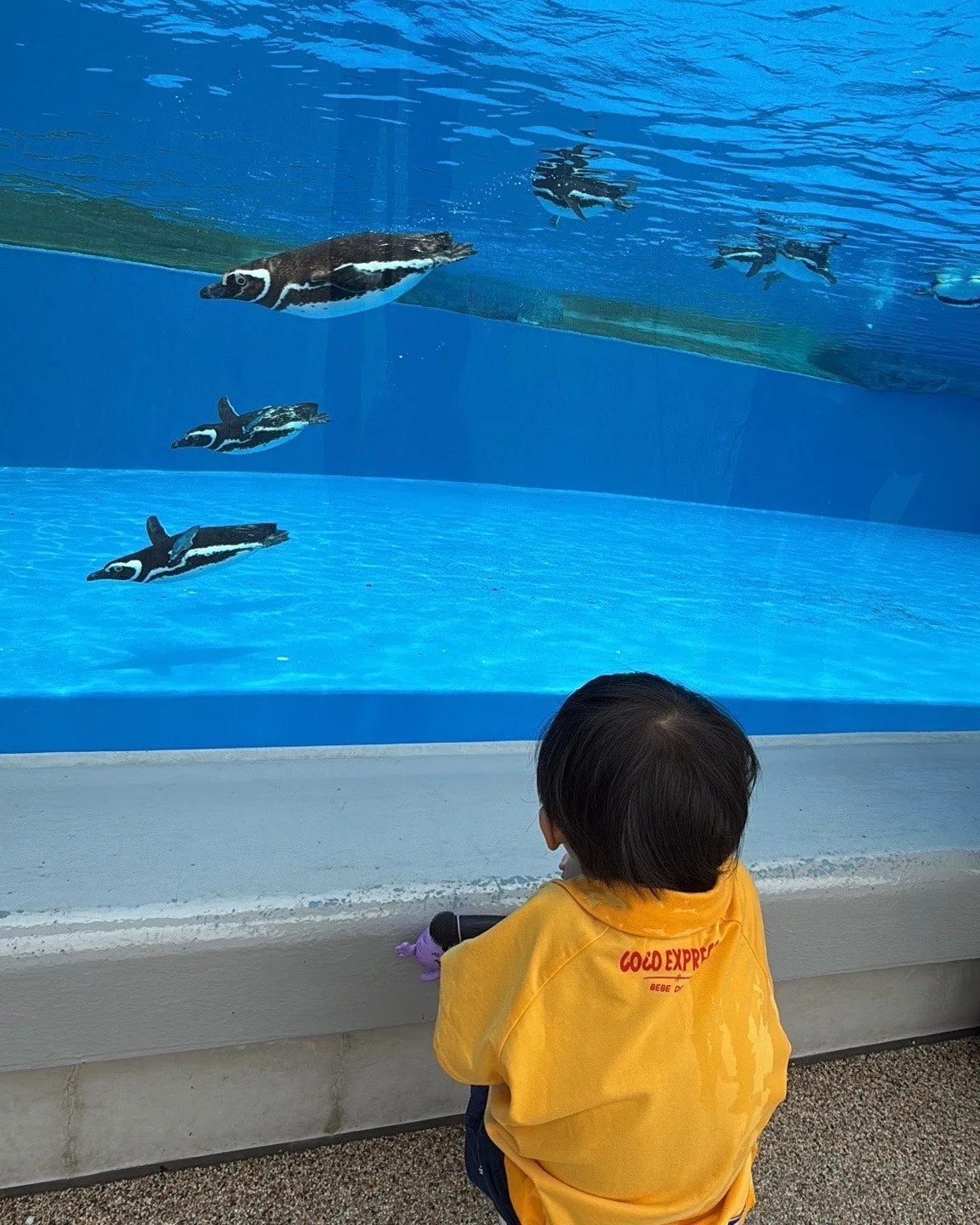 output%EF%BC%BF2727883853.jpg?type=w1600