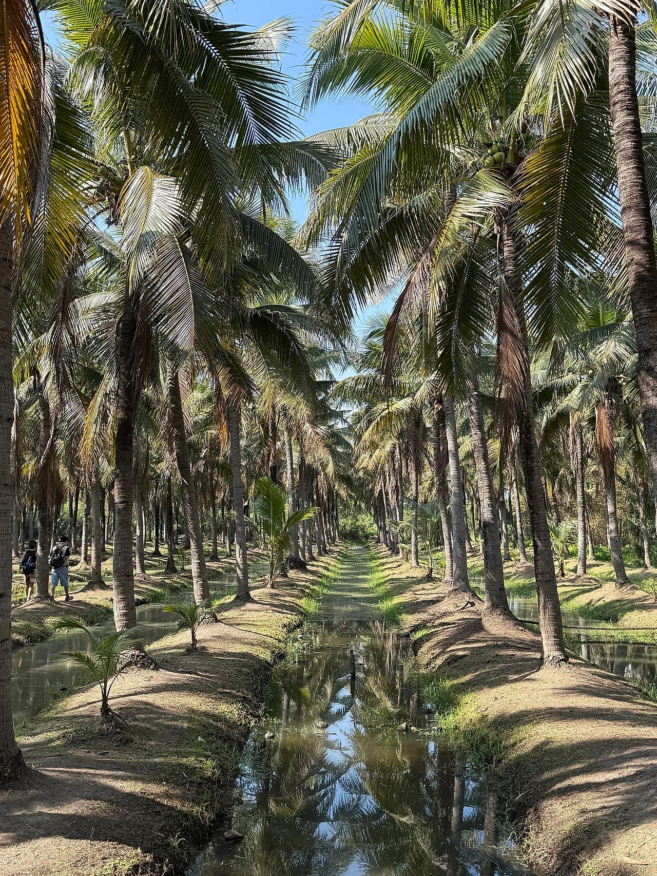 IMG%EF%BC%BF7921.JPG?type=w1600