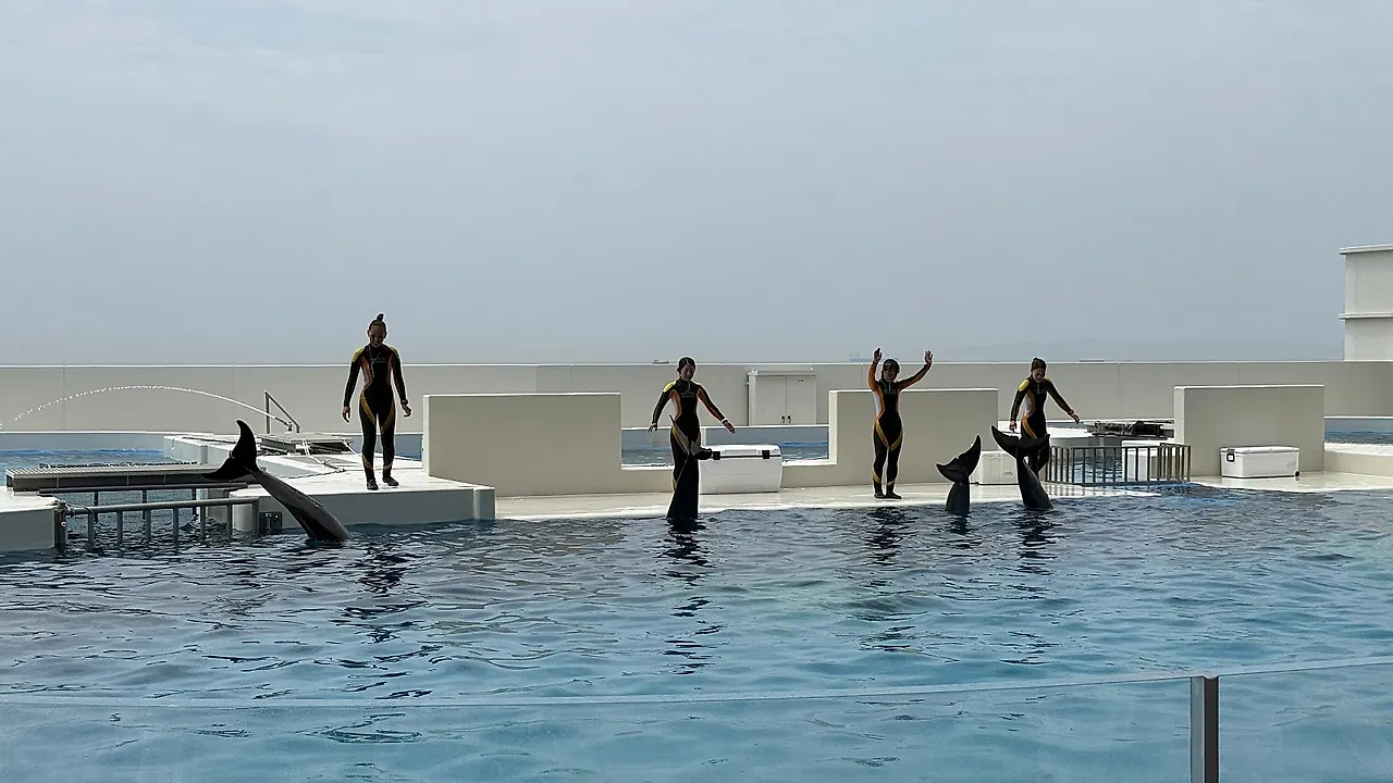 IMG%EF%BC%BF3340.JPG?type=w1600