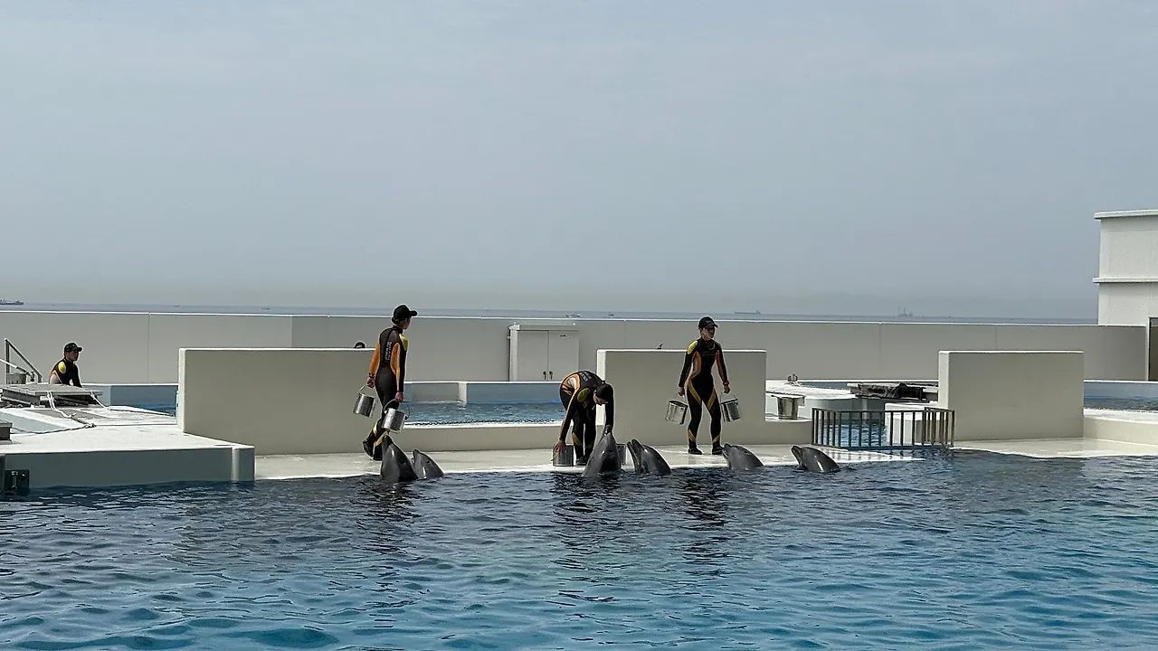 IMG%EF%BC%BF3316.JPG?type=w1600