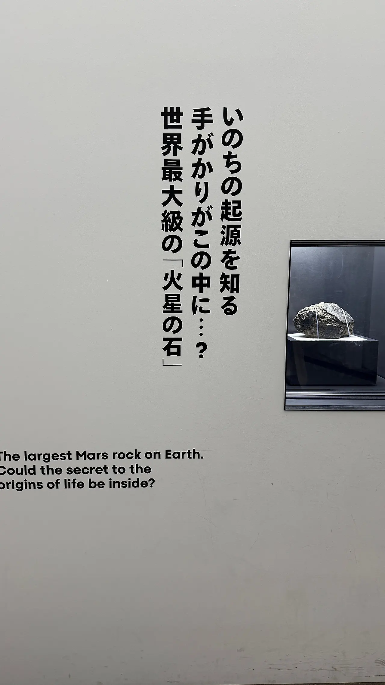 IMG_1309.JPG?type=w1600