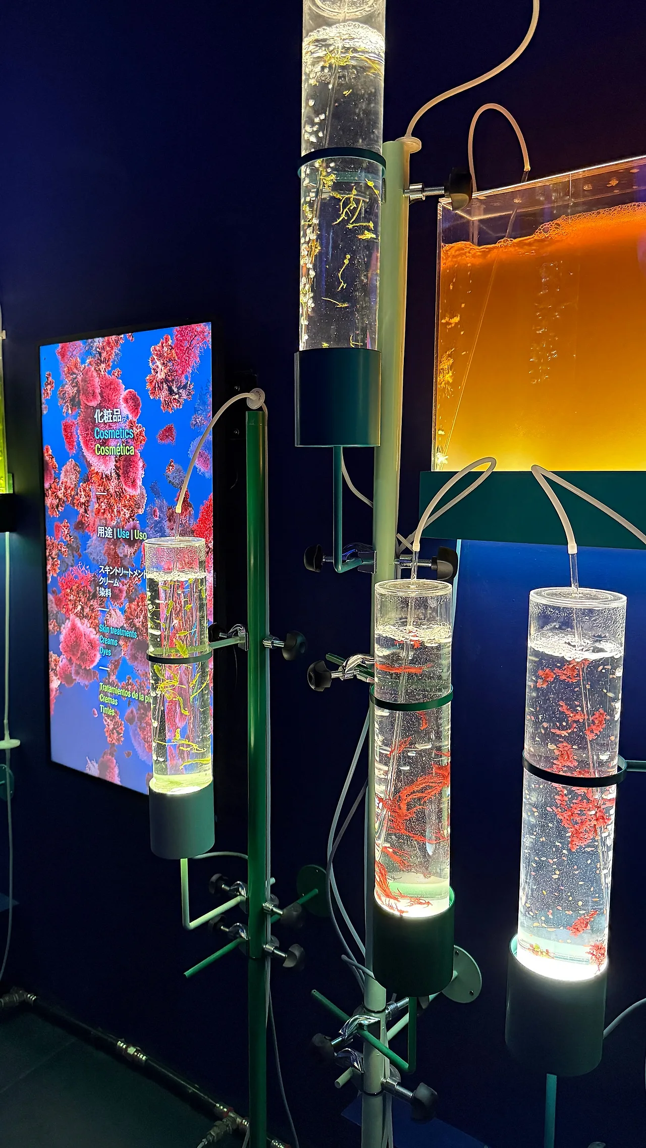 IMG_1204.JPG?type=w1600