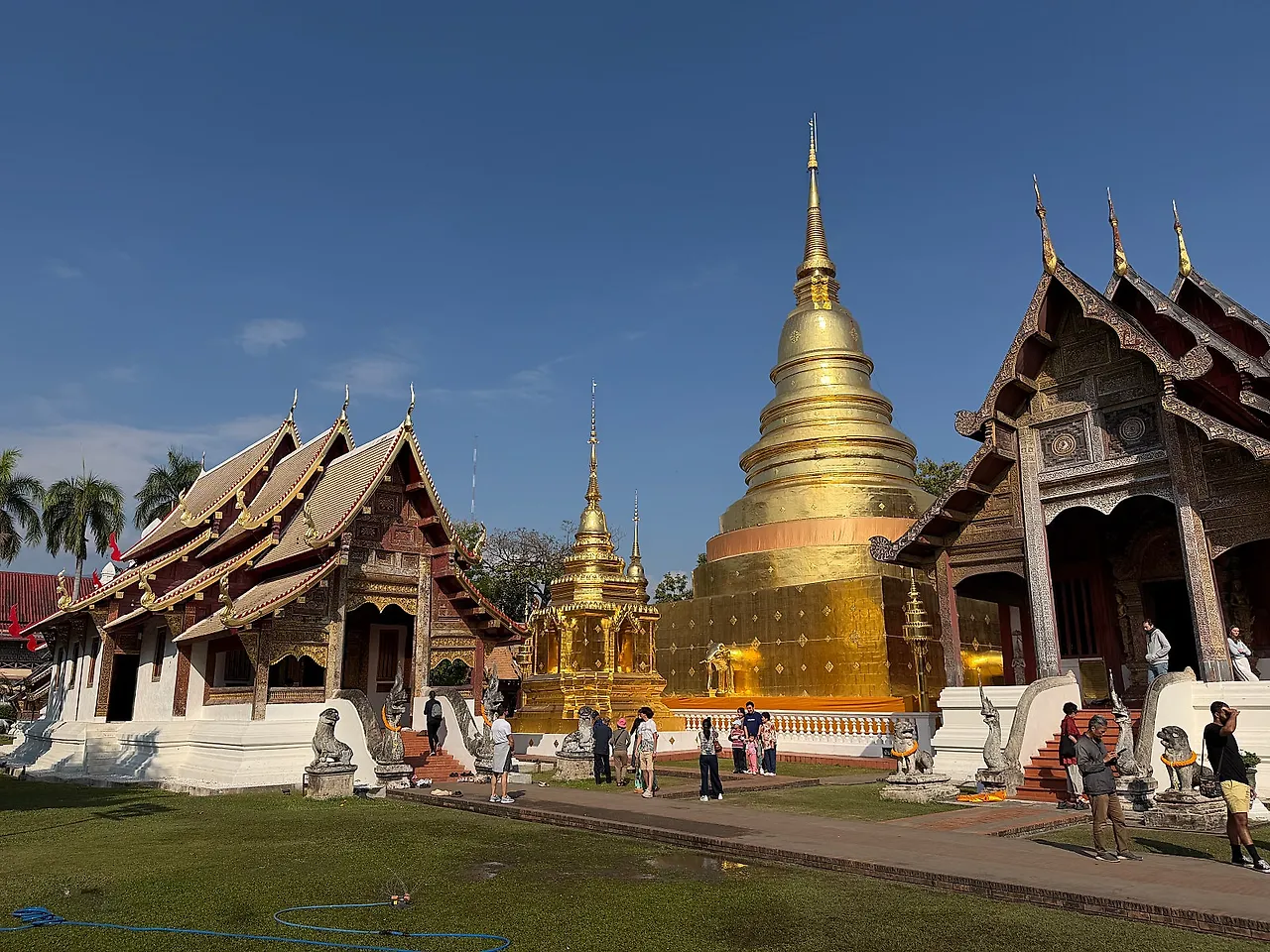 IMG%EF%BC%BF7771.JPG?type=w1600