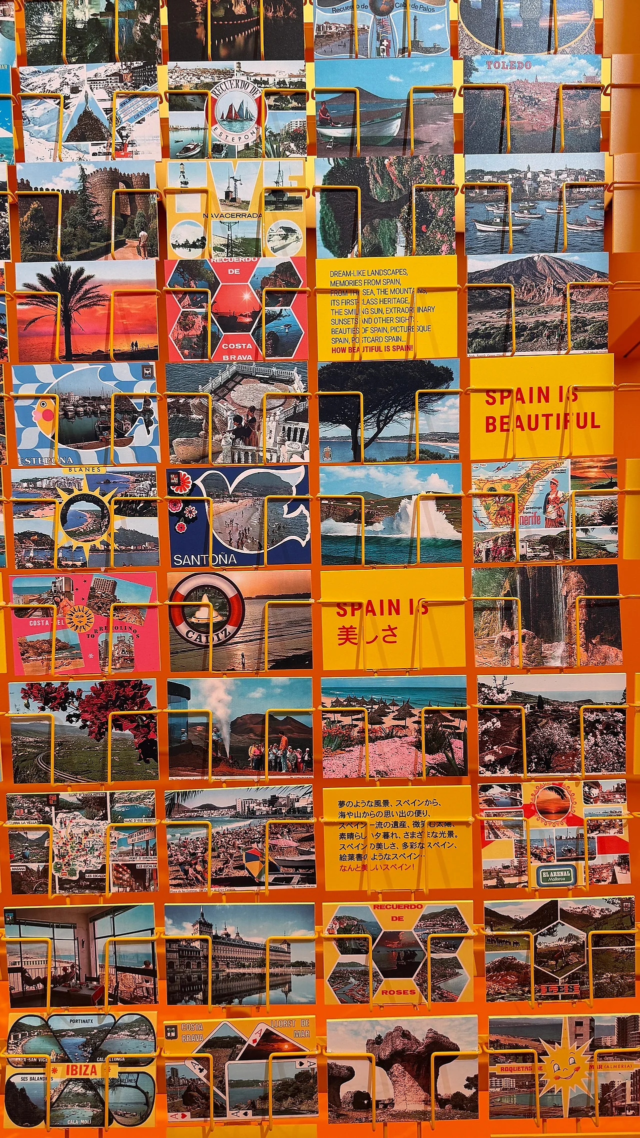 IMG_1207.JPG?type=w1600