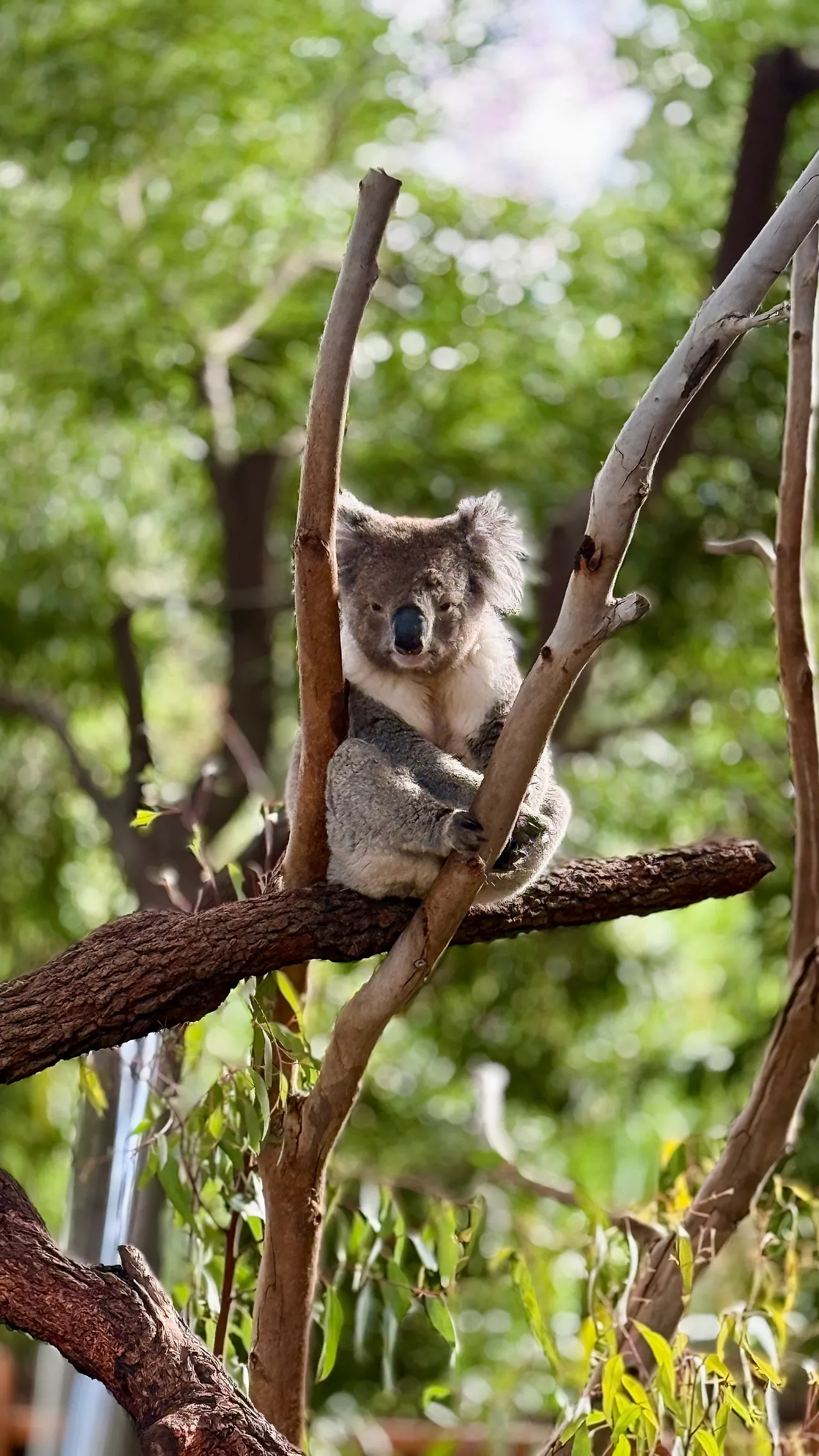 IMG_6844.JPG?type=w1600