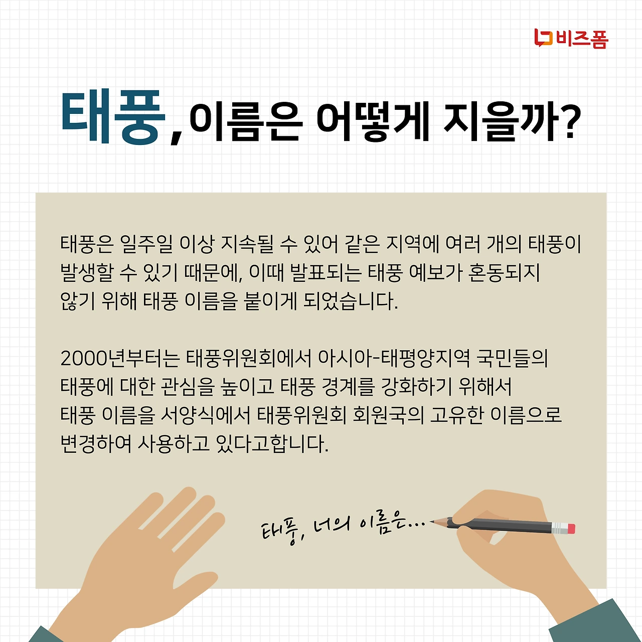 태풍이름-03.PNG