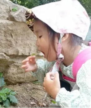 괭이밥 먹는 소울.JPG