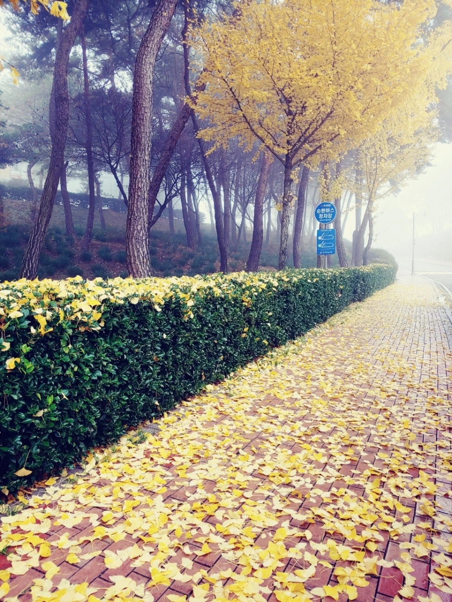 1637397539857.jpg?type=w1