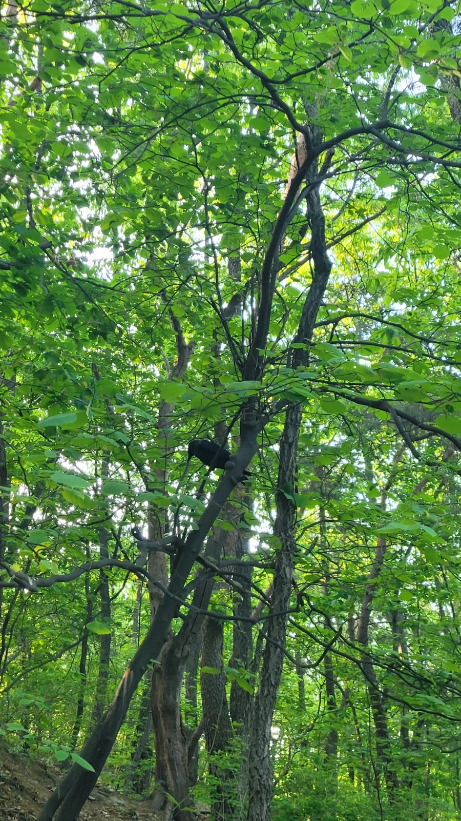 20220504%EF%BC%BF065927.jpg?type=w1