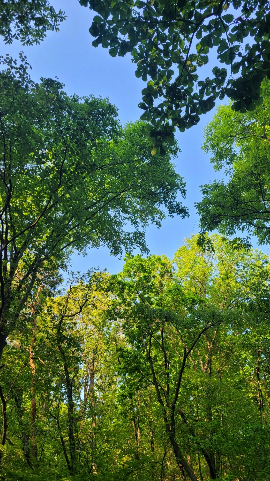 20220504%EF%BC%BF065758.jpg?type=w1