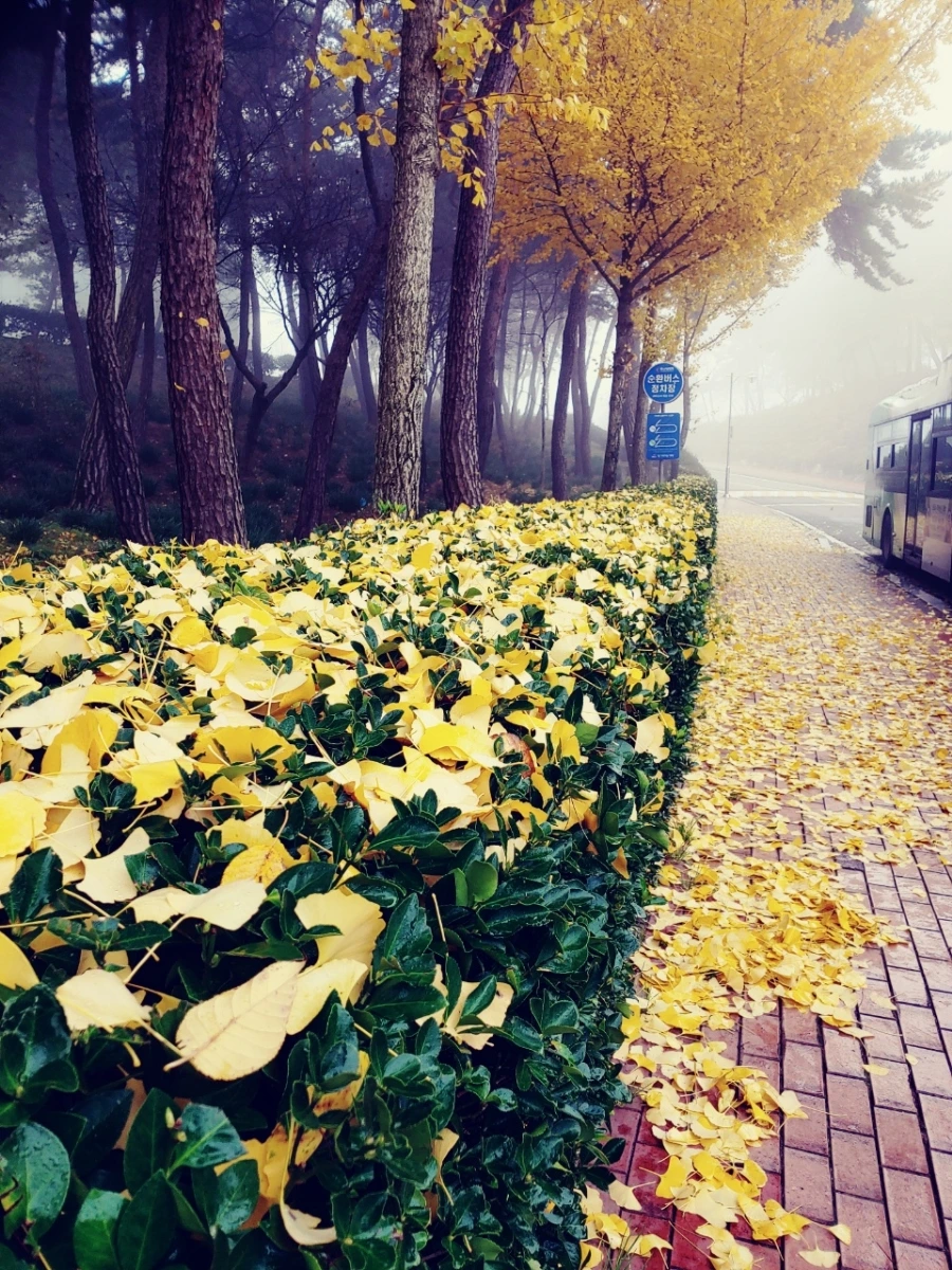 1637397539932.jpg?type=w1