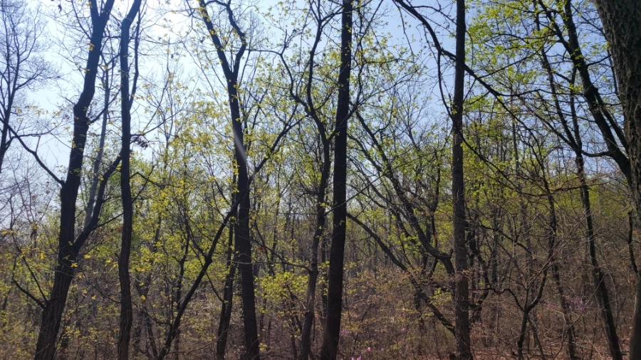 20230401%EF%BC%BF101702.jpg?type=w1