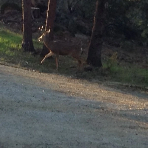 다운로드 (1).jpeg