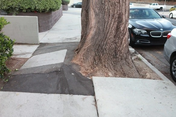 다운로드 (3).jpeg