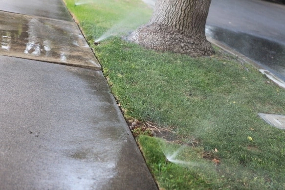 다운로드 (15).jpeg