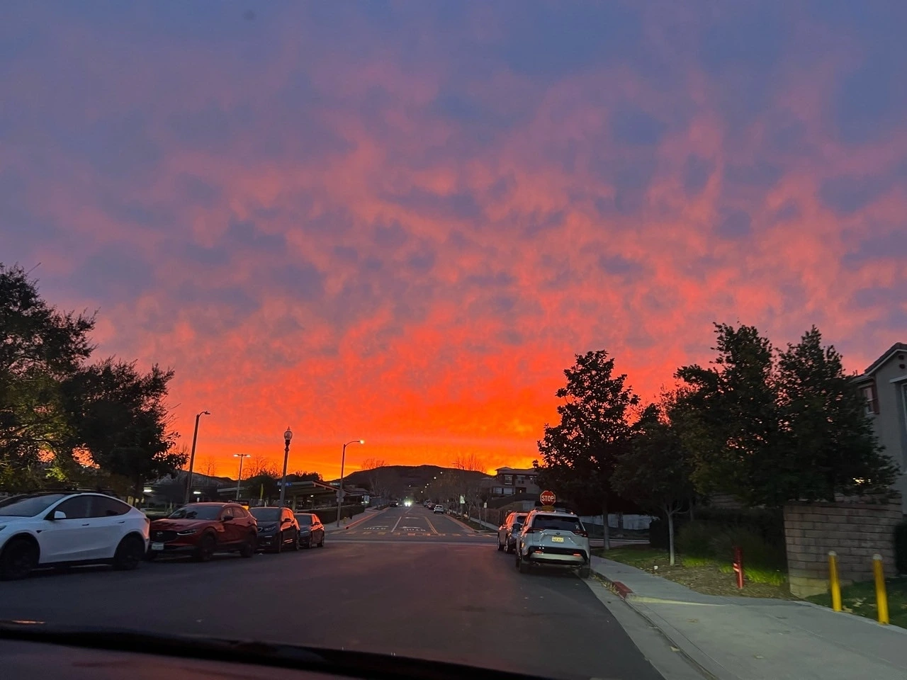 다운로드 (14).jpeg