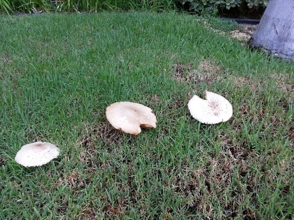 다운로드 (5).jpeg