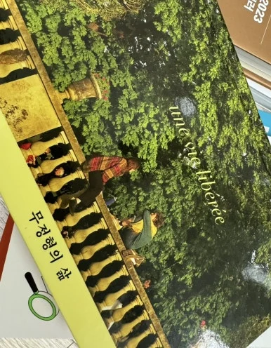 IMG%EF%BC%BF7158.jpg?type=w386