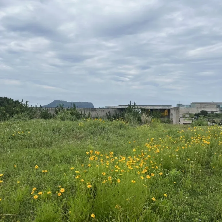 IMG%EF%BC%BF9334.jpg?type=w773