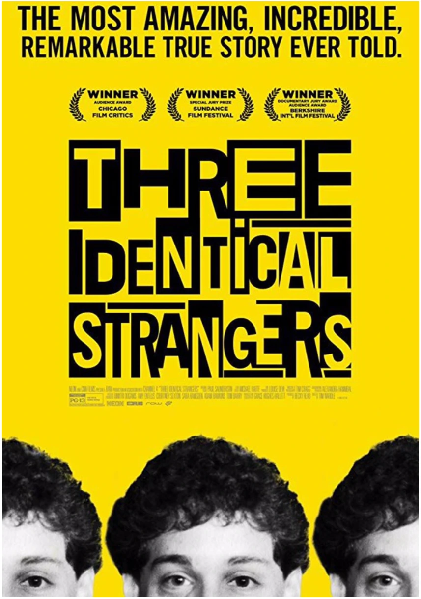 일란성 세쌍둥이.PNG