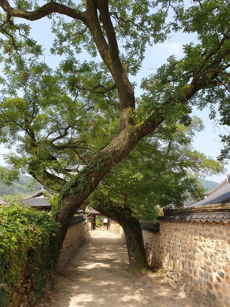 9947923B5F40576B13ED67