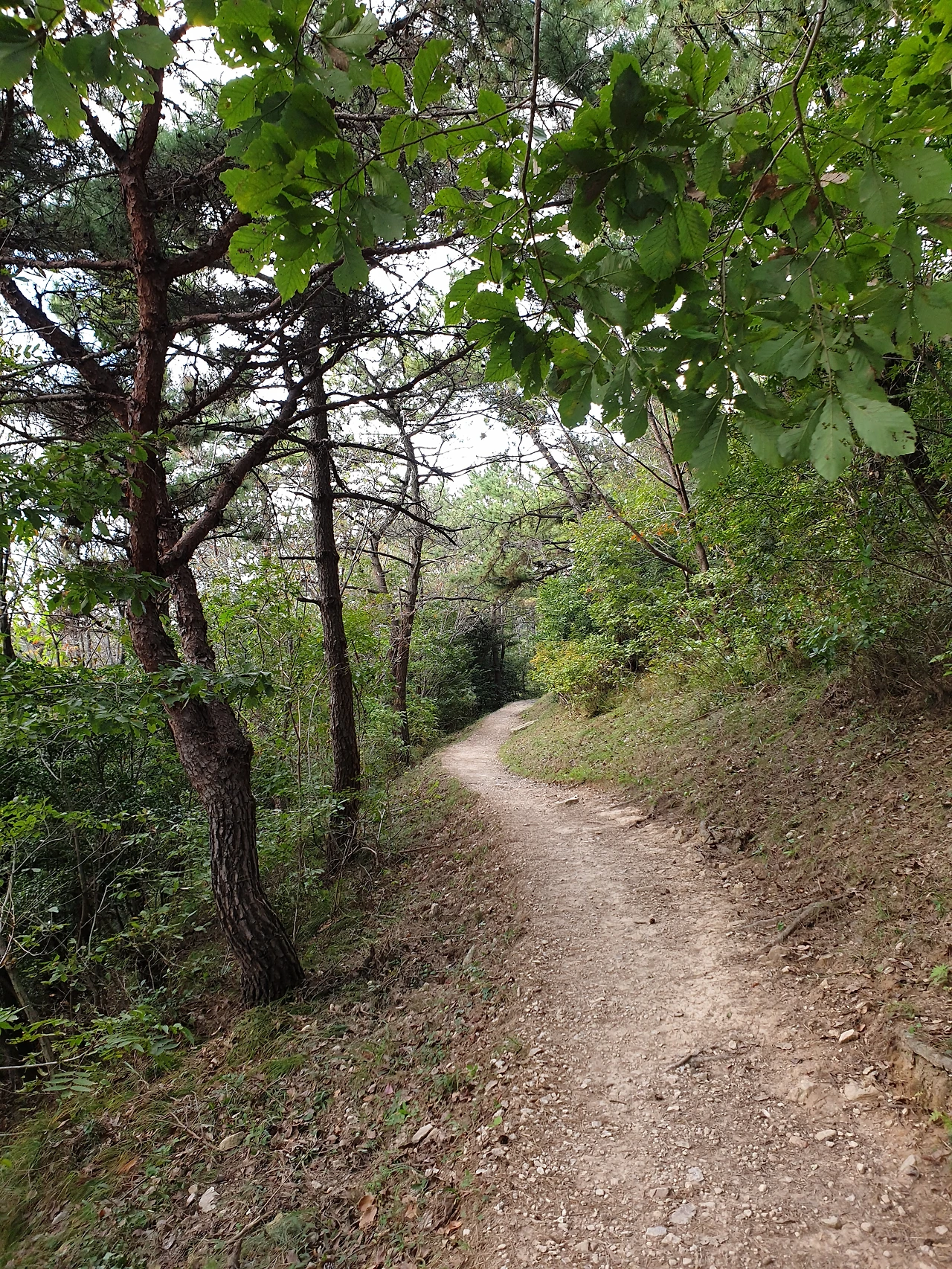 ac078fae130ab122245cf6def73af91695d0beb2