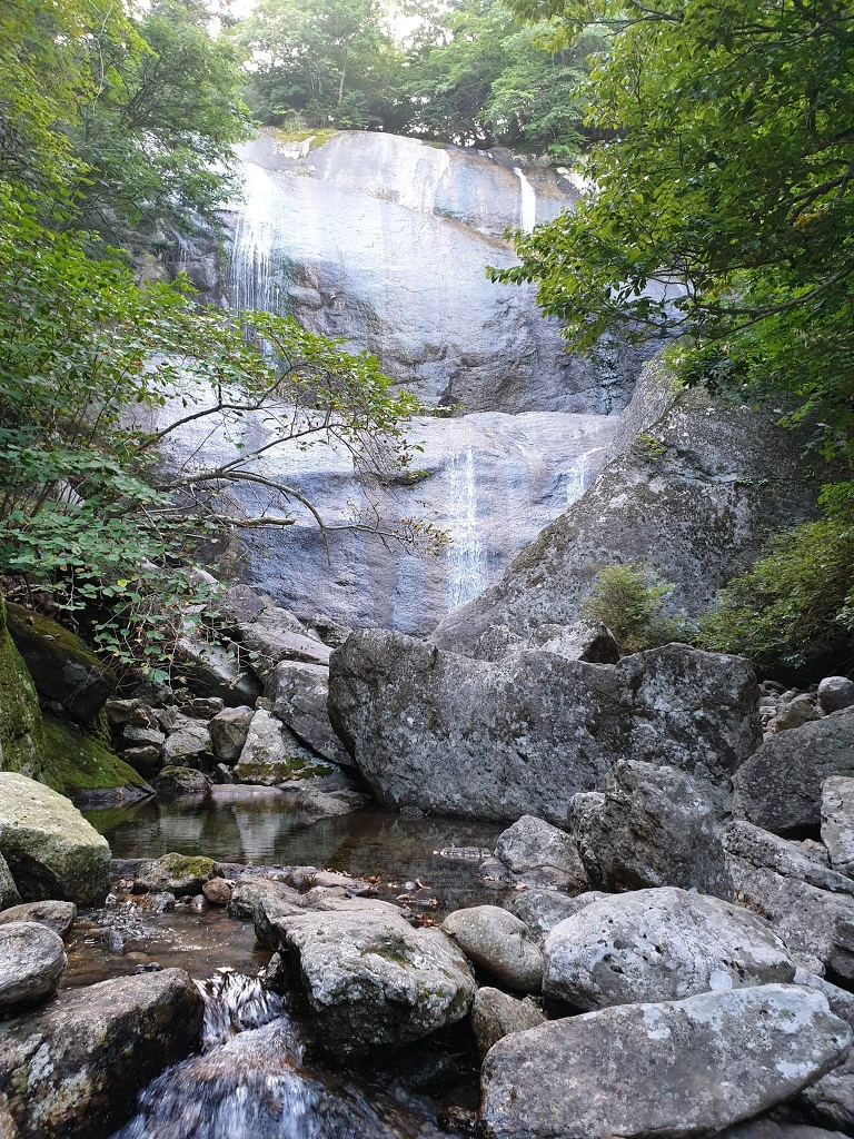 99EFD7395F404F7510E5C1