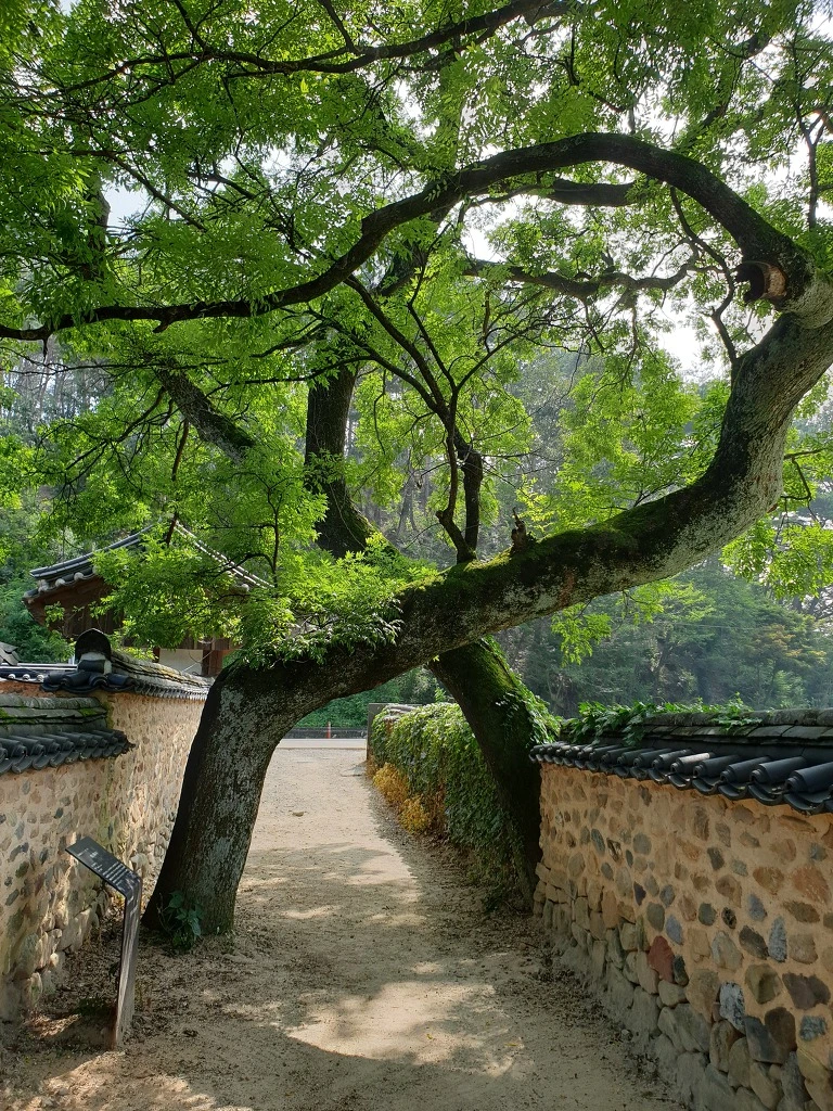 9947A03B5F40576E130C26