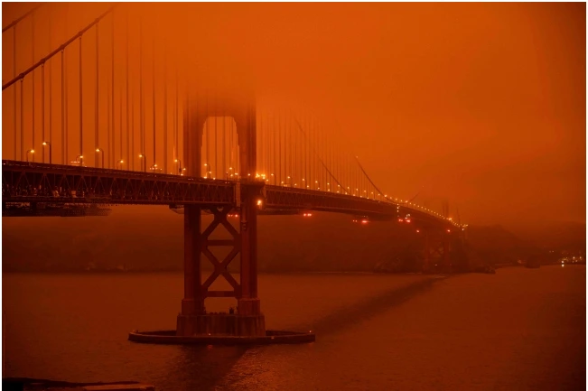 9962D6415F5AC2F111D990