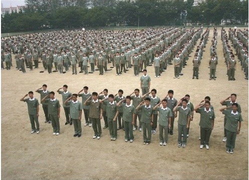 121169124B94A8B906.jfif