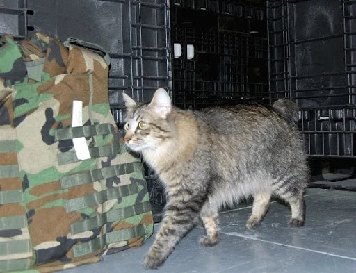 oL4ARLIYr6MXeuVh7IgAKp05SyMoJubL2Nm7ibt5FIiE-eIRICbgiFfI3wpVB-czhooAdrS4CRODPCk92en3s9V_FPDnSZdtsi4NjHn8vUfRg8rb_MvSwuIbVsyGlbG5G4DUXaiYTmKbIdWFUHkQ0xjjLgmRyefVMPkI93WtpEh1ih2-4t6prZs