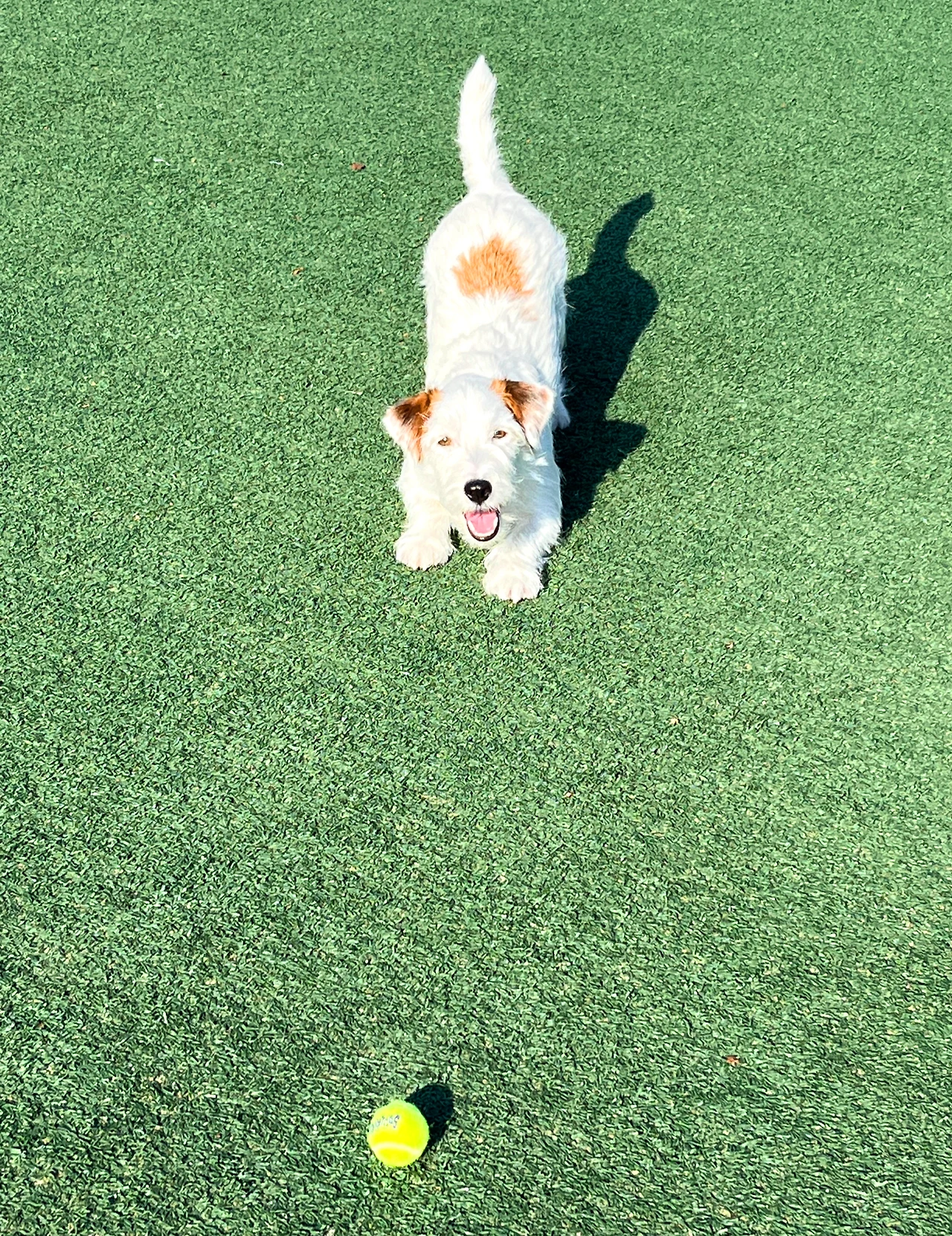 KakaoTalk_Photo_2023-01-27-16-18-16 006.jpeg