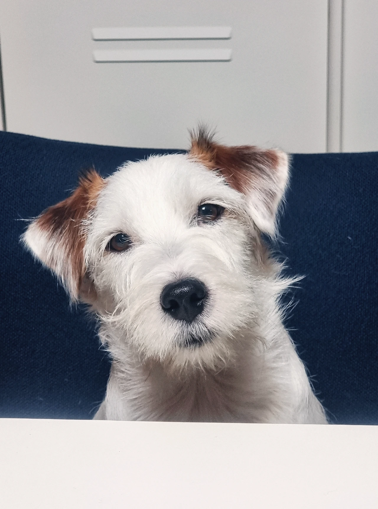 KakaoTalk_Photo_2023-01-27-16-18-15 005.jpeg