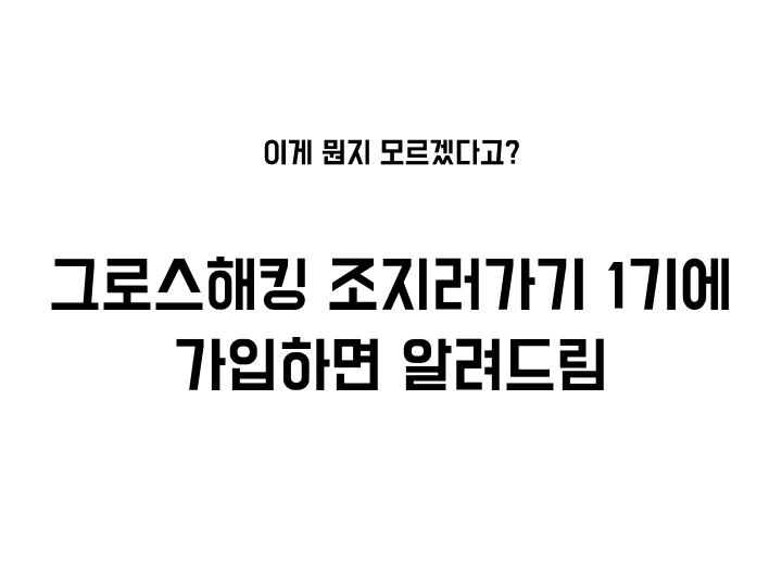 그로스해킹 조지기 모임.010.jpeg