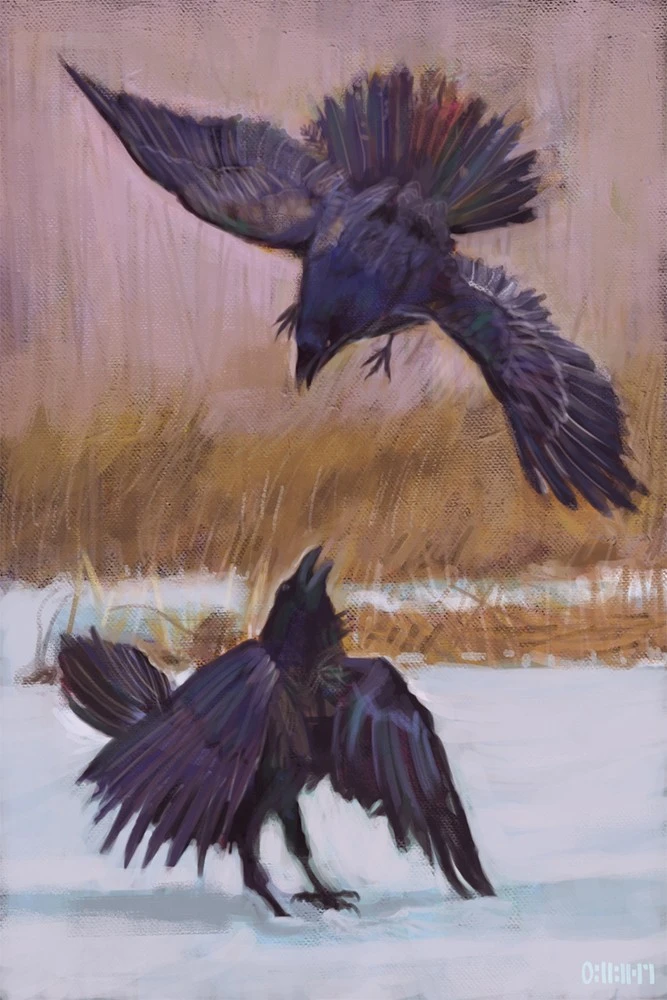 20190408_raven_rgb_sig_667_1000.jpg?type=w896_2