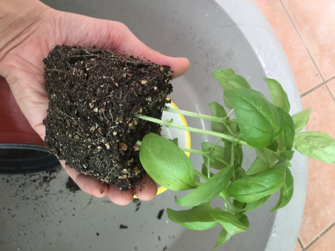 2015-07-04 12.28.49.jpg