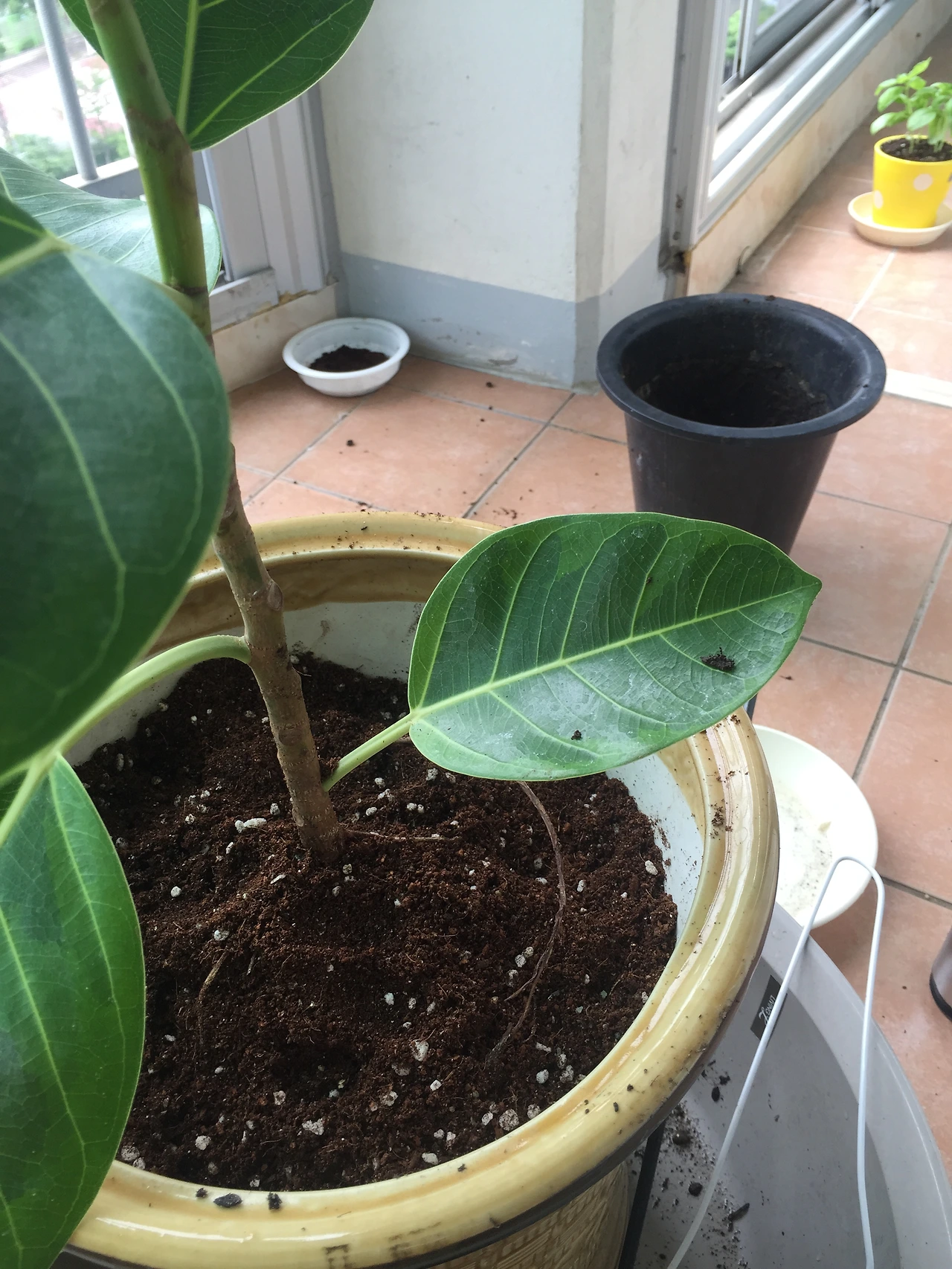 2015-07-04 12.58.06.jpg