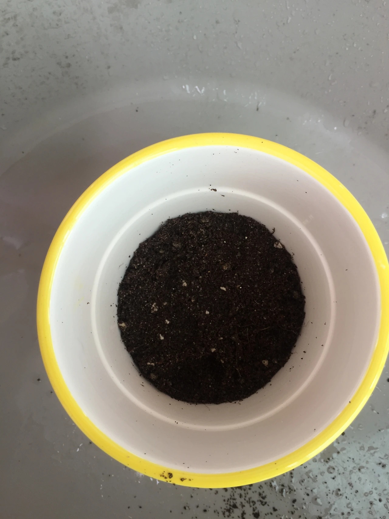 2015-07-04 12.28.19.jpg